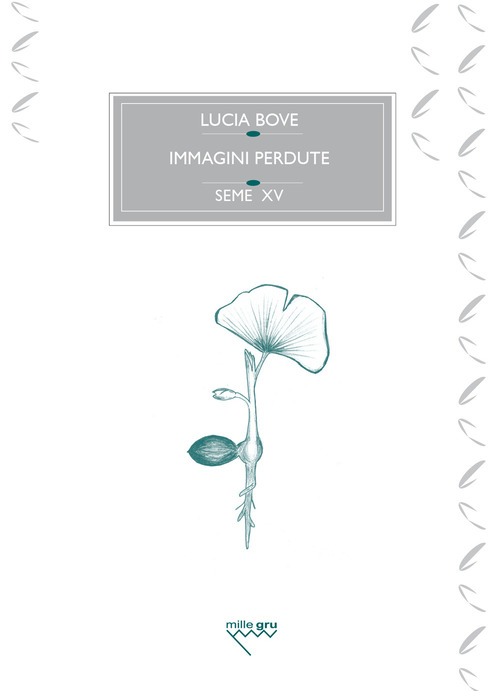 Immagini perdute. Ovvero, dell'amore e di un ginkgo biloba