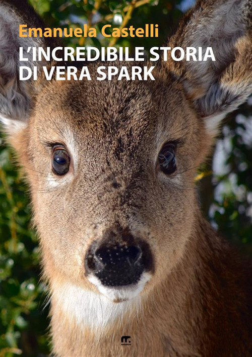 L'incredibile storia di Vera Spark