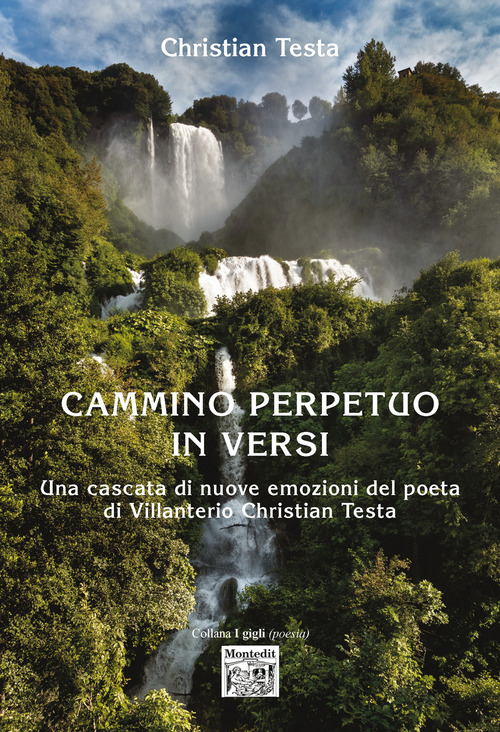 Cammino perpetuo in versi