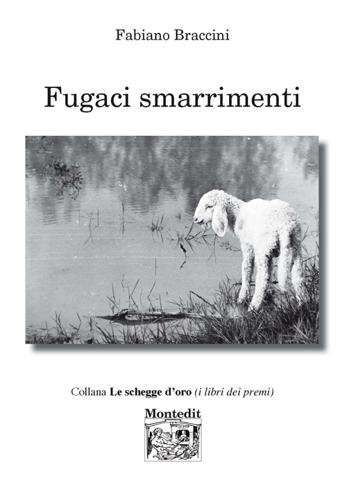 Fugaci smarrimenti