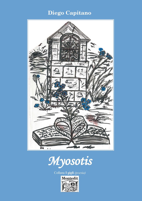 Myosotis