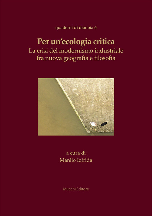 Per un'ecologia critica. La crisi del modernismo industriale fra nuova geografia e filosofia