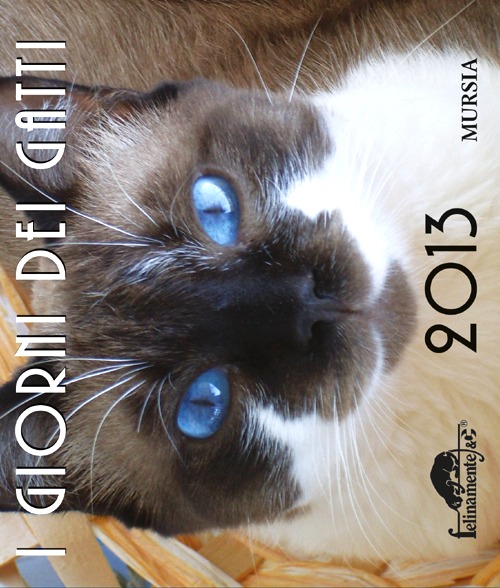 I giorni dei gatti. Calendario 2013