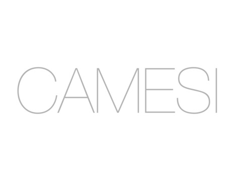 Camesi. Dallo spazio al tempo