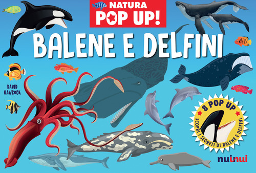 Balene e delfini. Natura pop up!