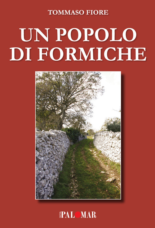 Un popolo di formiche