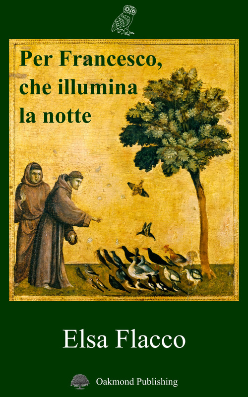 Per Francesco che illumina la notte