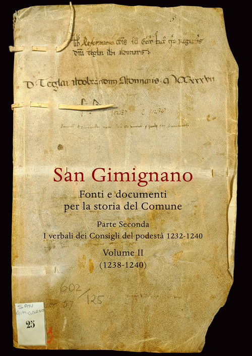 San Gimignano. Fonti e documenti per la storia del Comune