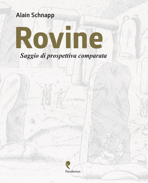 Rovine. Saggio di prospettiva comparata. Ediz, italiana e francese