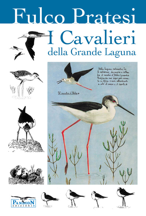 I cavalieri della grande laguna