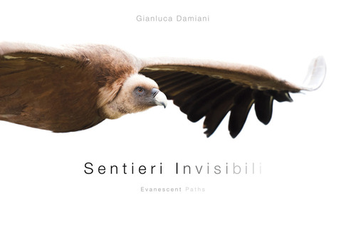 Sentieri invisibili-Evanescent paths