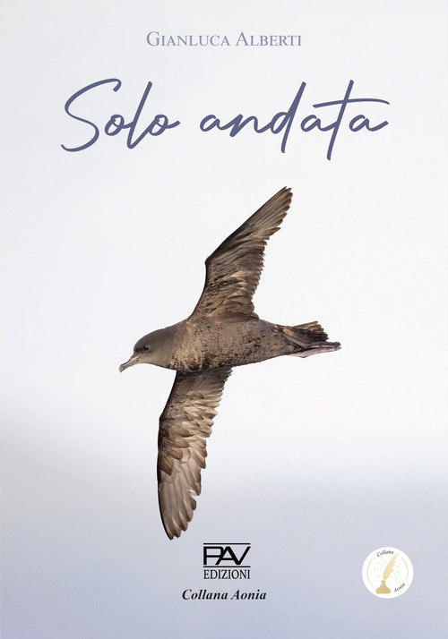 Solo andata