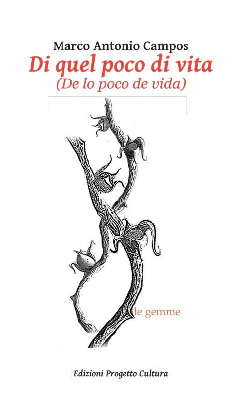 Di quel poco di vita. (De lo poco de vida)