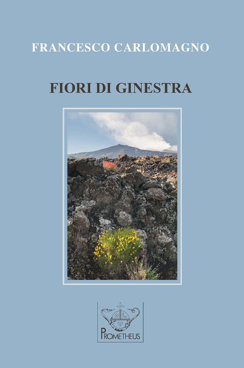 Fiori di ginestra