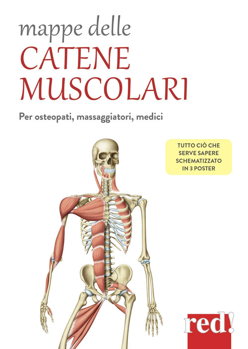 Mappe delle catene muscolari
