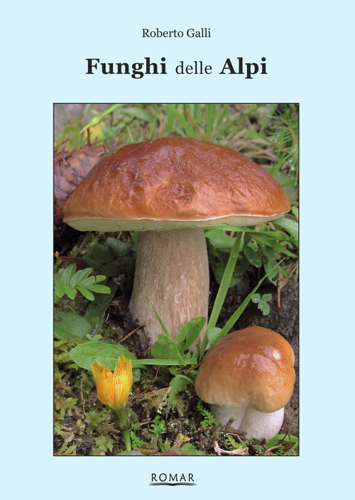 Funghi delle Alpi