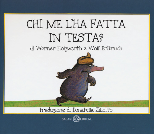 Chi me l'ha fatta in testa? Piccoli libri perfetti