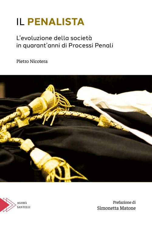 Il penalista