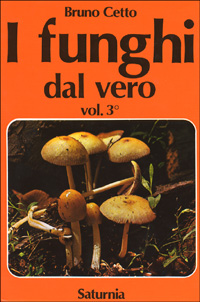 I funghi dal vero