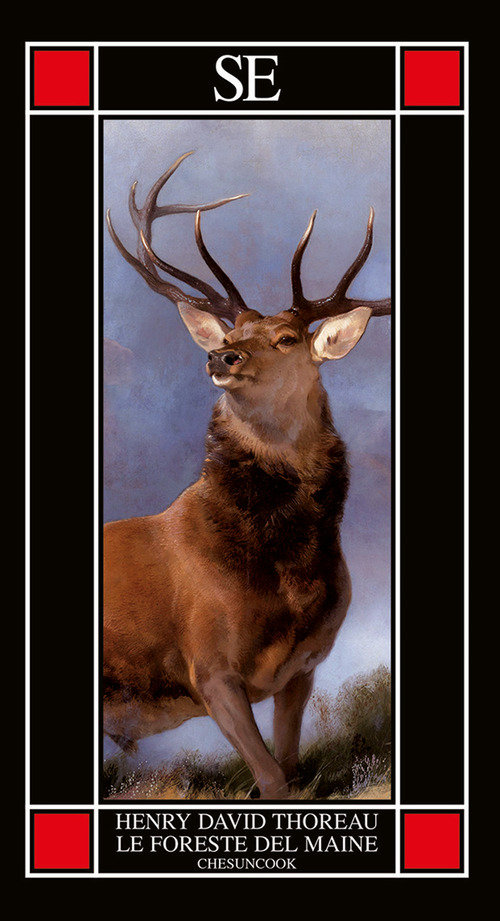 Le foreste del Maine. Chesuncook