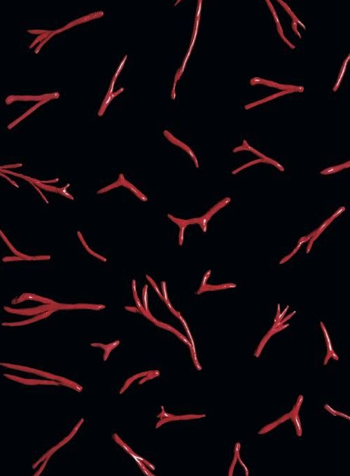 Enrico «La caduta» David. Ediz. italiana e inglese