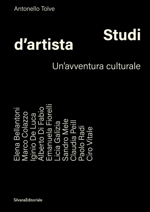 Studi d'artista. Un'avventura culturale