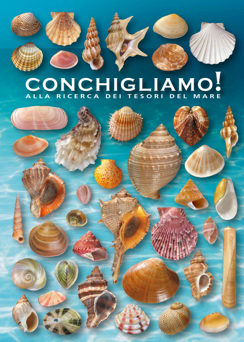Conchigliamo! Alla ricerca dei tesori del mare