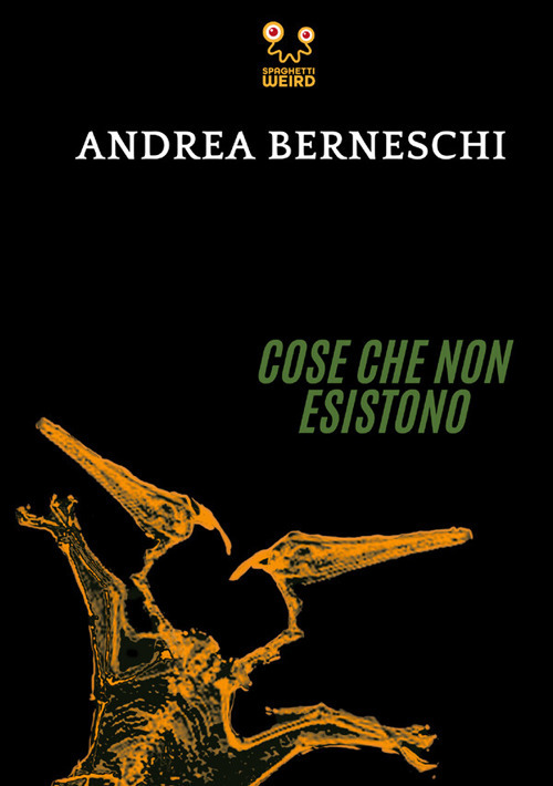 Cose che non esistono