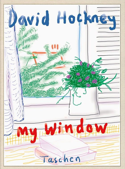 My window. Ediz. limitata