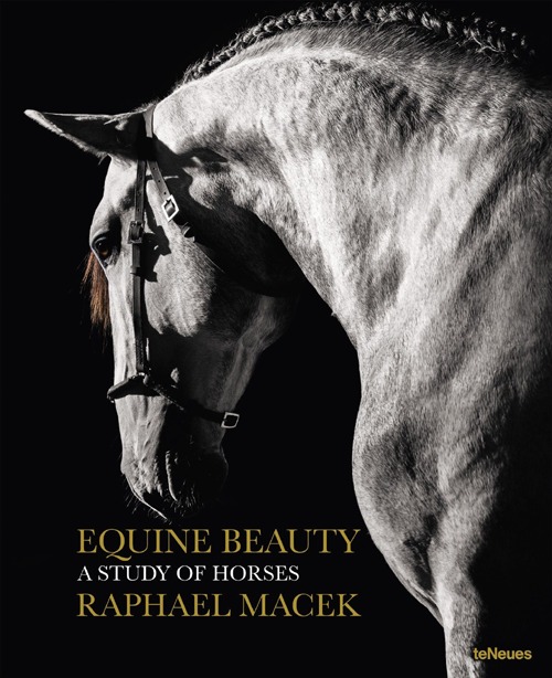 Equine beauty. A study of horses