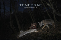 Tenebrae