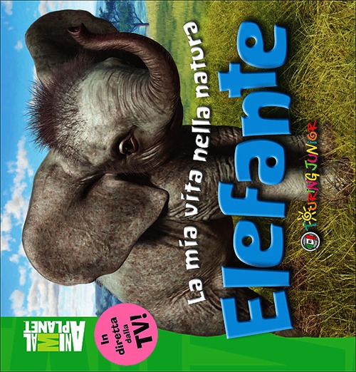 Elefante