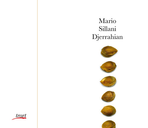 Mario Sillani Djerrahian. Ediz. italiana e inglese