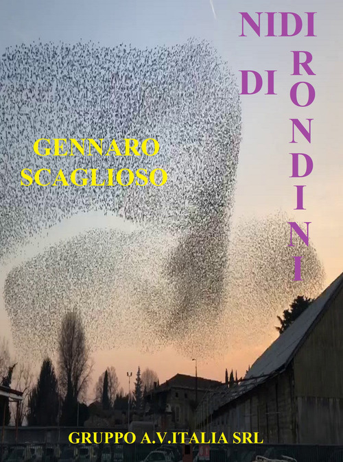 Nidi di rondini