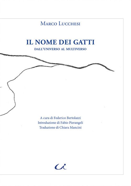 Il nome dei gatti. Dall'universo al multiverso