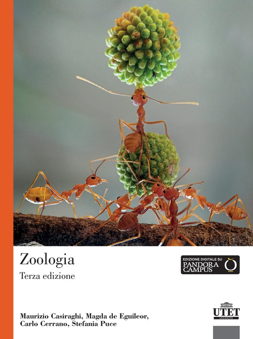 Zoologia