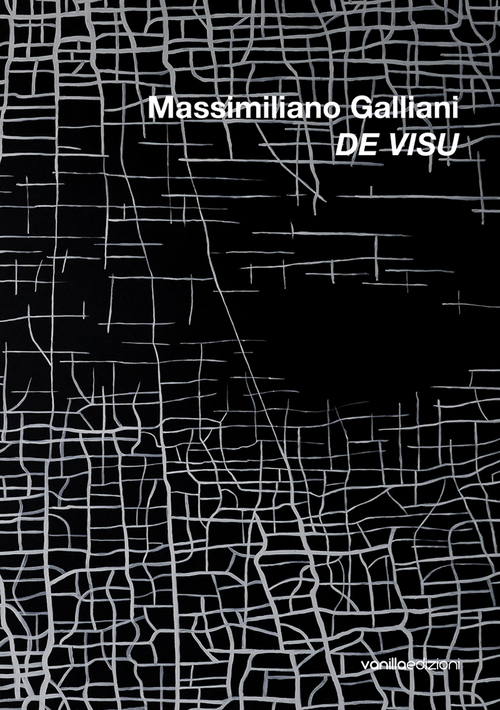 Massimiliano Galliani. De Visu