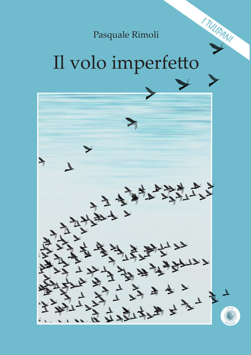 Il volo imperfetto
