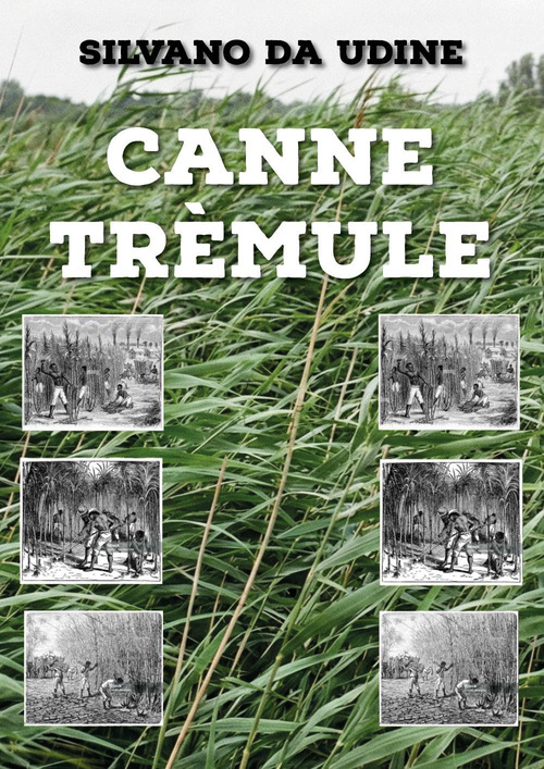 Canne trèmule