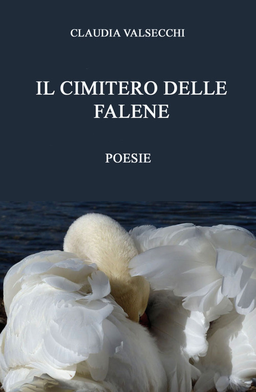 Il cimitero delle falene