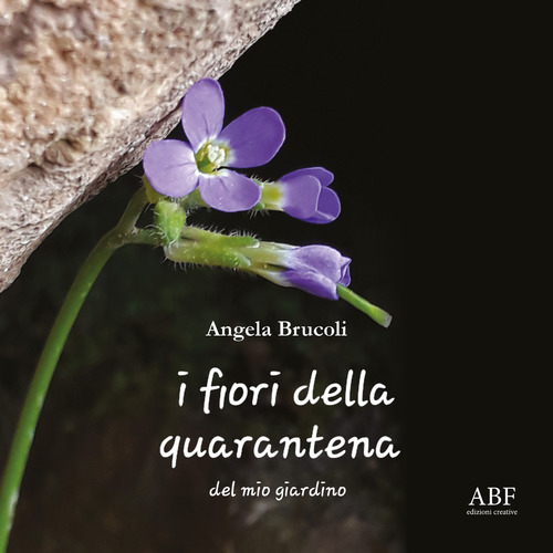 I fiori della quarantena, del mio giardino