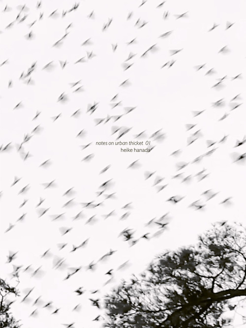 Notes on urban thicket 01. Heike Hanada