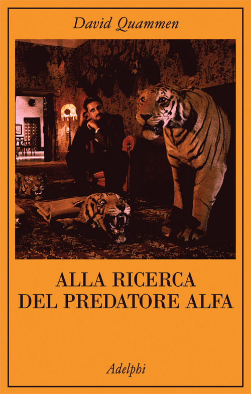 Photo gallery principale