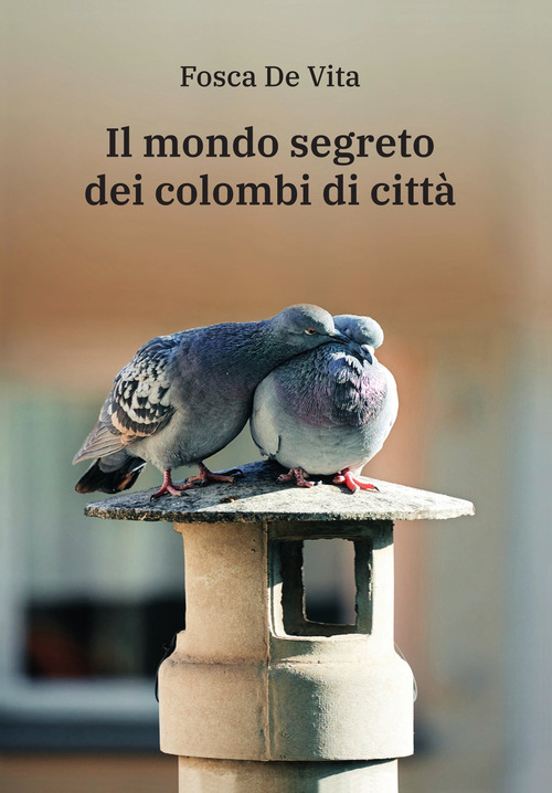 Il mondo segreto dei colombi di città