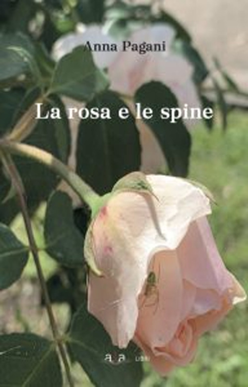 Photo gallery principale