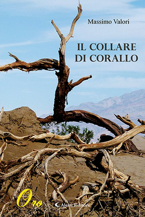 Photo gallery principale