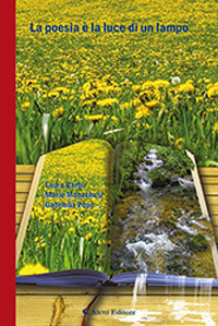 La poesia &egrave; la luce di un lampo