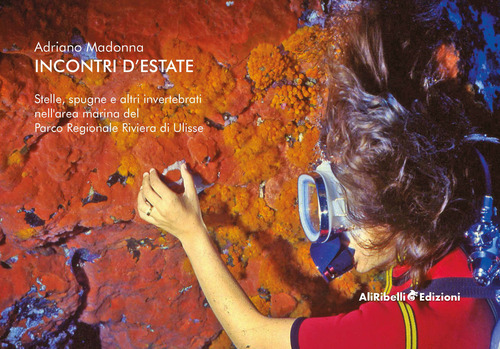 Incontri d'estate. Stelle, spugne e altri invertebrati nell'area marina del Parco Regionale Riviera di Ulisse