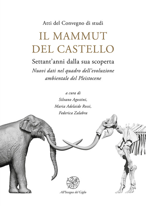 Il mammut del castello. Settant'anni dalla sua scoperta. Nuovi dati nel quadro dell'evoluzione ambientale del Pleistocene