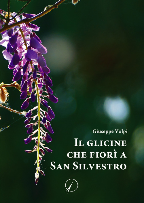 Il glicine che fior&igrave; a San Silvestro